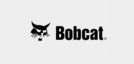 Bobcat